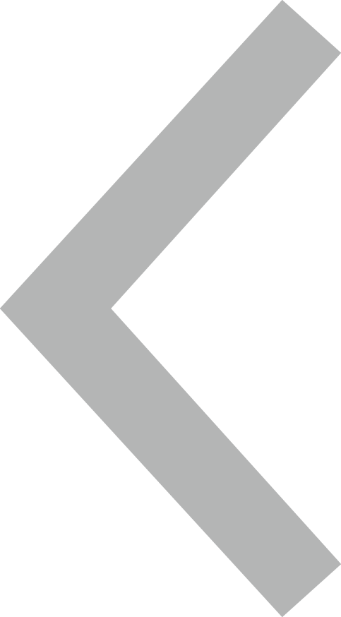 Would You Like Any Of These Other Items - Back Icon Grey (483x874), Png Download
