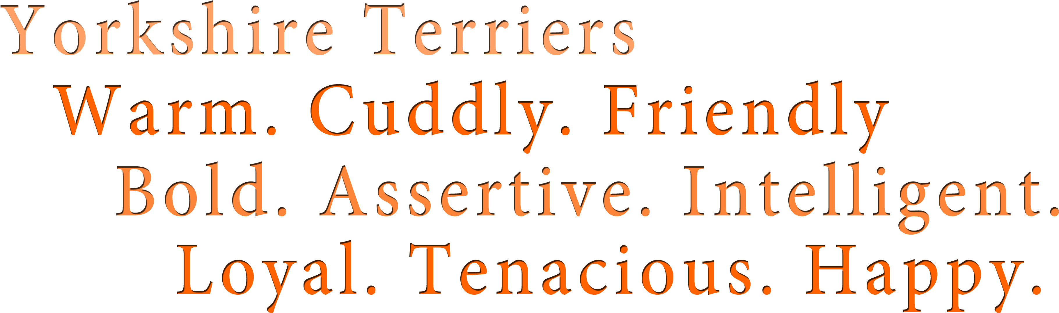 Characteristic Yorkshire Terrier Yorkie - Yorkshire Terrier (3840x1200), Png Download