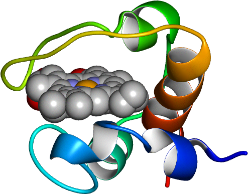 Database Information - Illustration (768x768), Png Download
