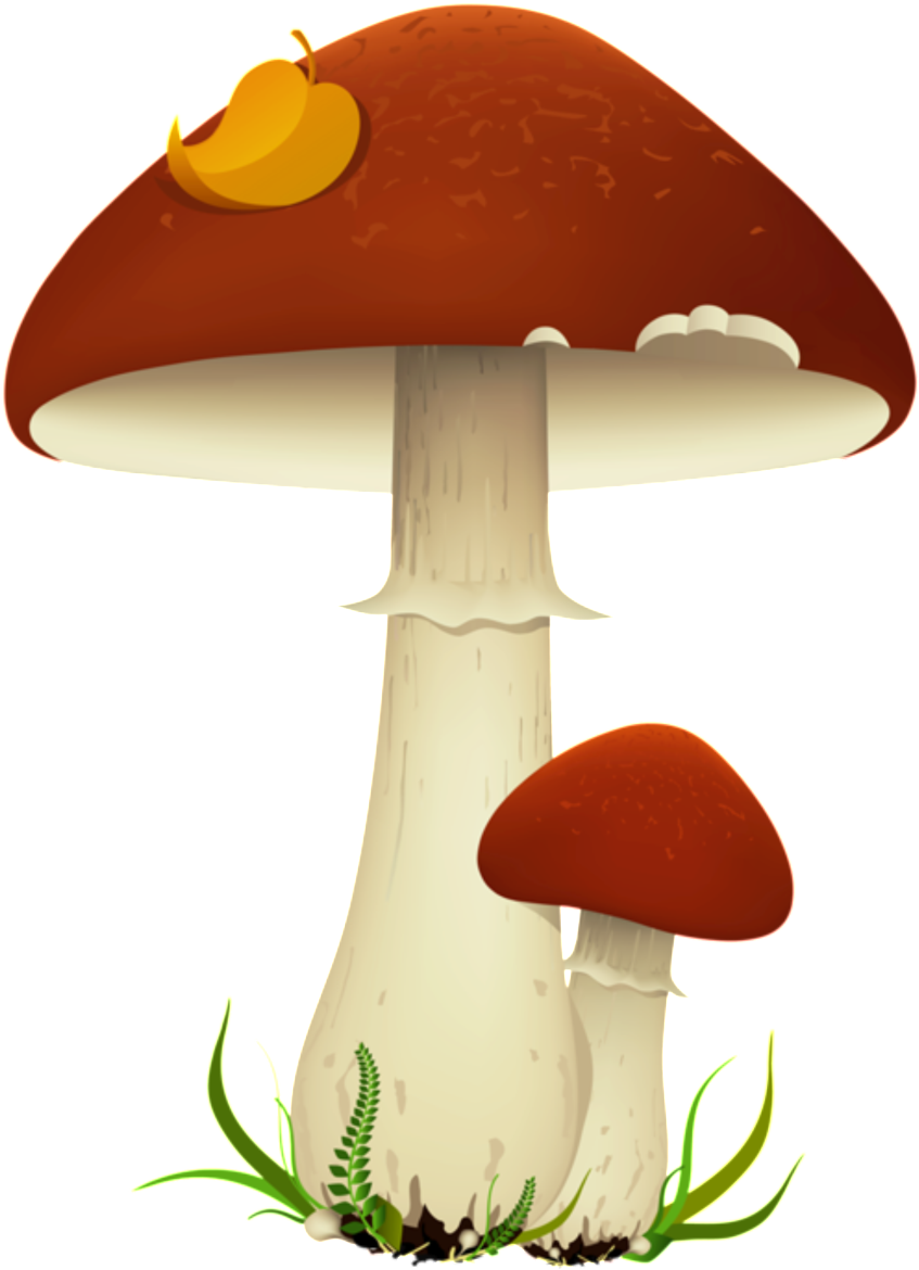 Patron De Dibujos Animados De Seta Elementos - Mushrooms Party Clipart (1024x1262), Png Download
