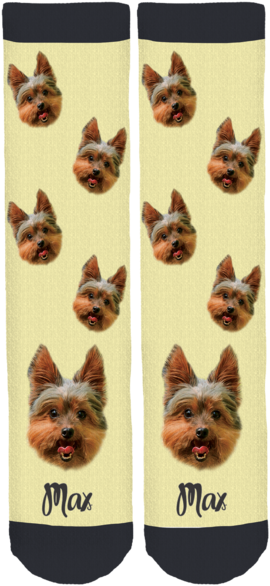 Yorkie Max Crew Socks - Yorkshire Terrier (285x600), Png Download