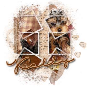 Yorkie Masked - Yorkshire Terrier (360x360), Png Download