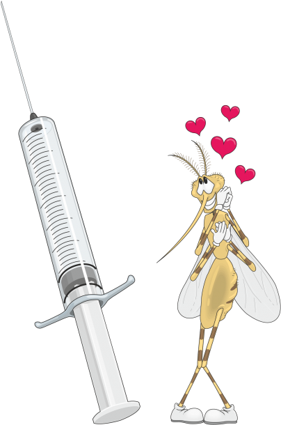 Flying Insects, Insect, Nature, Animal Free Png And - Cartoon (640x640), Png Download