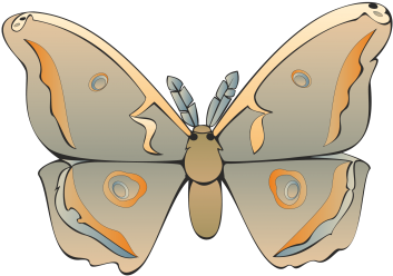 Commercial Use Flying Insects, Insect, Nature, Animal - Vector (360x360), Png Download