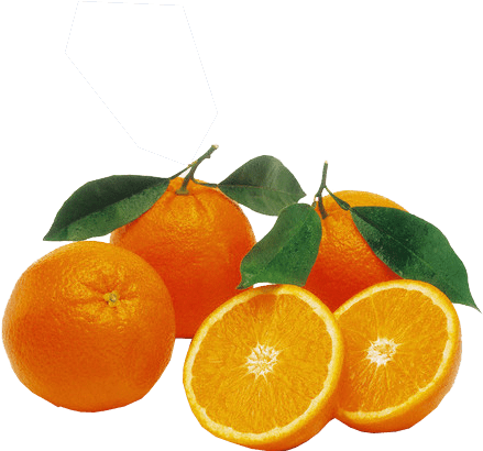 Oranges Transparent Background Png Image - South Africa Valencia Orange (493x480), Png Download