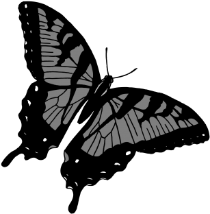 Commercial Use Flying Insects, Insect, Nature, Animal - Papilio Machaon (360x360), Png Download