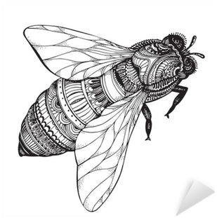 Hand Drawn Honey Bee In Zentangle Style - Black And White Bee Drawing (400x400), Png Download