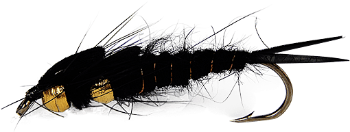 Double Tung-stonefly - Library (555x741), Png Download