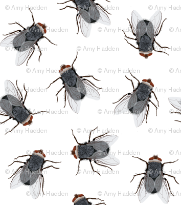 Flies - Romantic Fly Card (354x400), Png Download