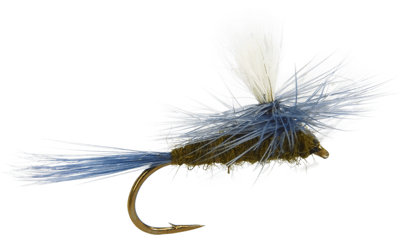 Blue Winged Olive Parachute Fly, Fly Fishing Flies, - Fishing Fly Flies Transparent (800x800), Png Download