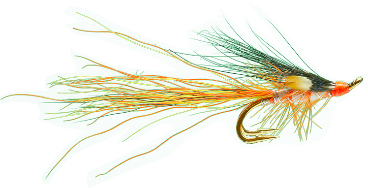 Verminator Salmon Fly - River Wye (750x556), Png Download