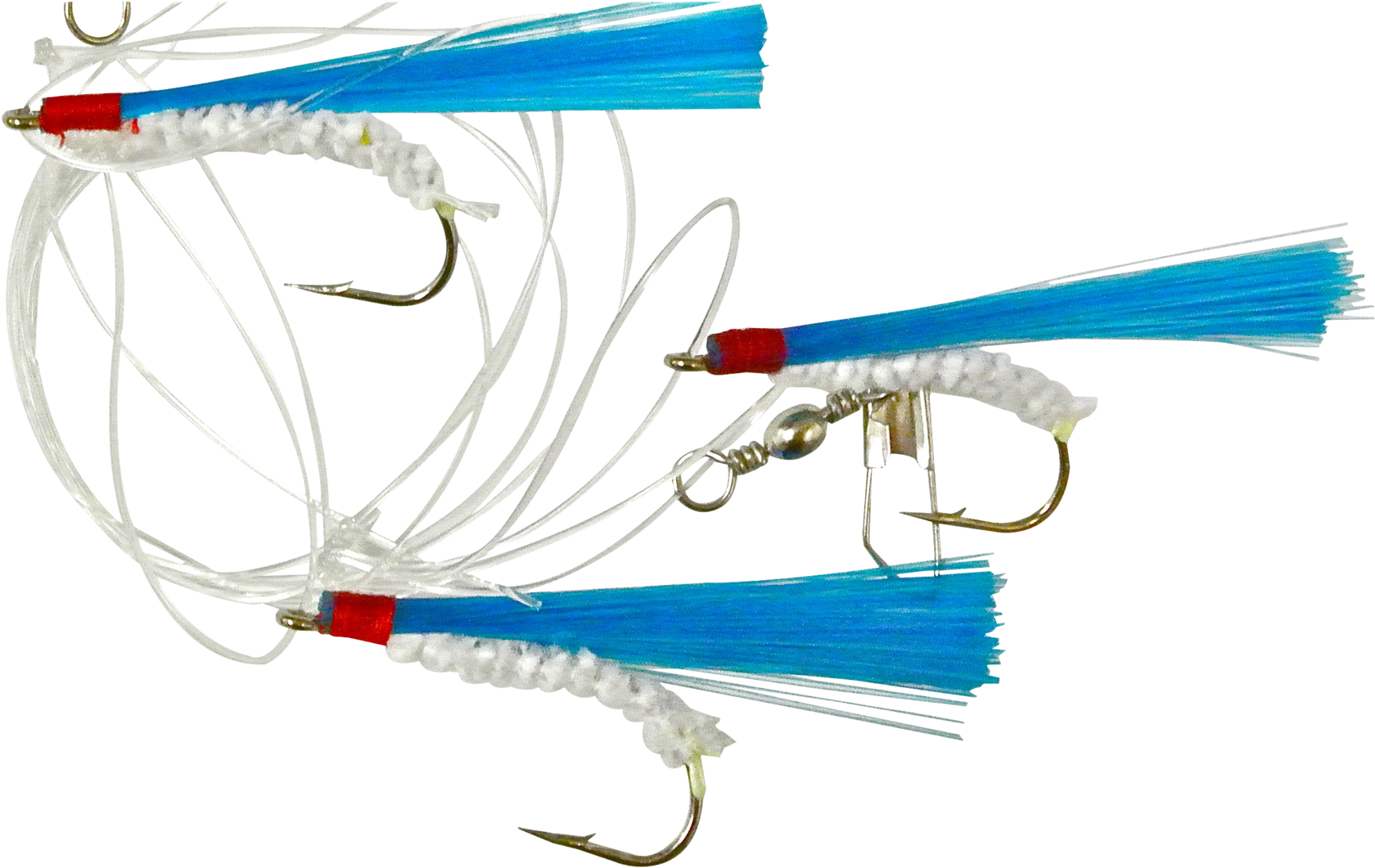 Shrimp (2048x1270), Png Download