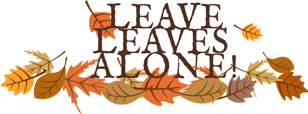 Leave Leaves Alone Logo - Logo (994x412), Png Download