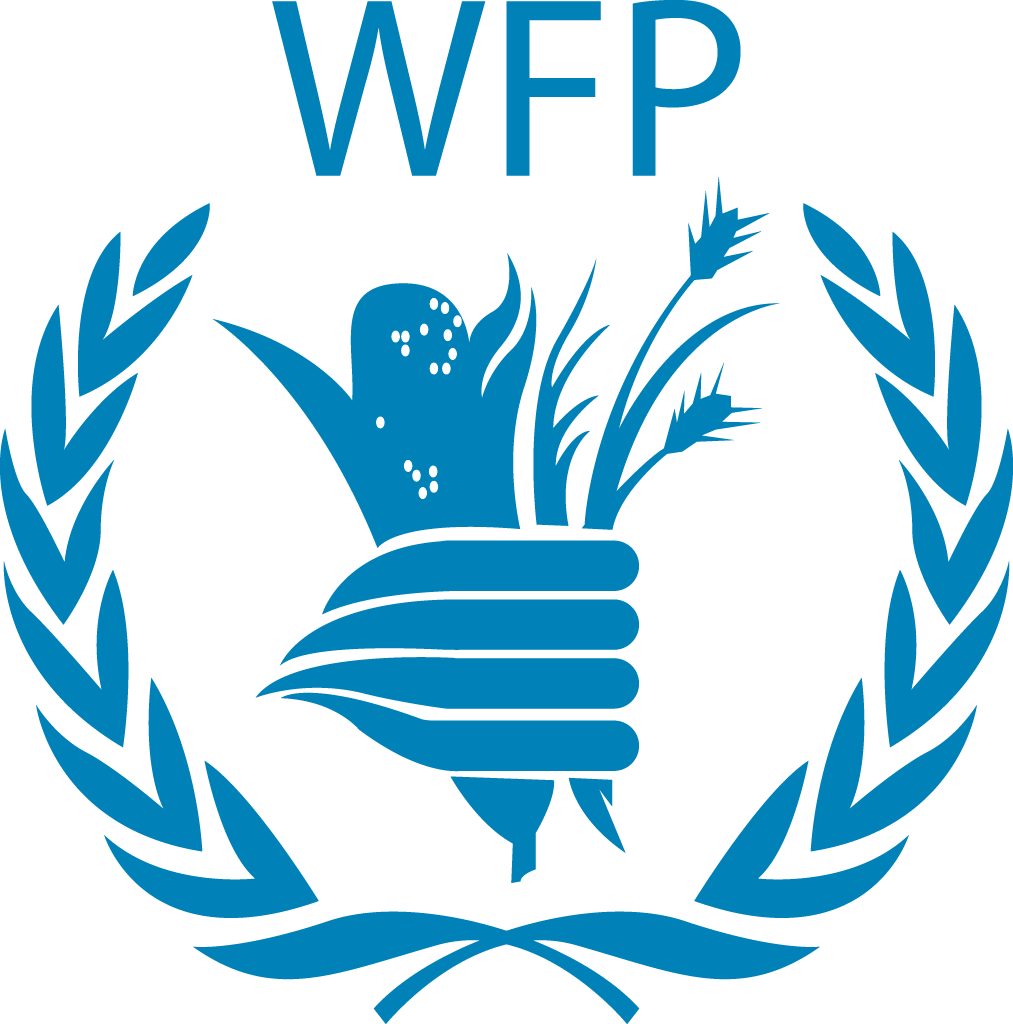 Wfp Logo - World Food Programme Logo Png (1013x1024), Png Download