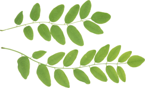 Translate - Fortællinger Om Relationspsykologi I Praksis: I Praksis (510x309), Png Download