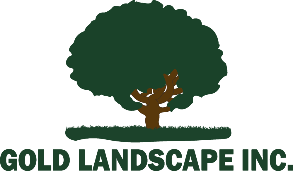 Gold Landscape - Gold Landscape Inc (1000x585), Png Download