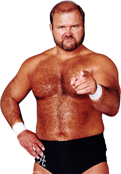 Arn Anderson - Arn Anderson Png (426x611), Png Download