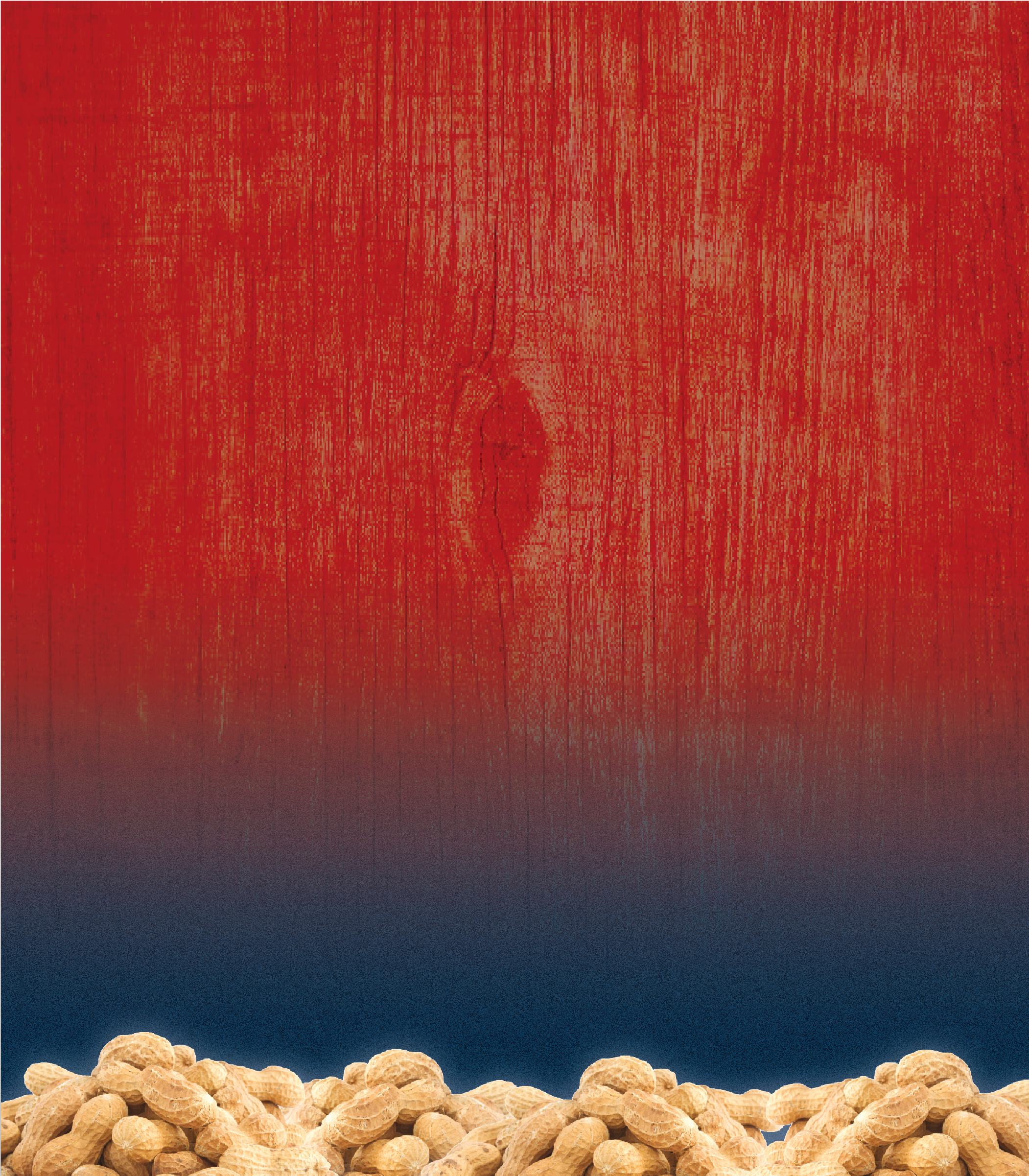 Rcc Background - Nut (2736x2779), Png Download