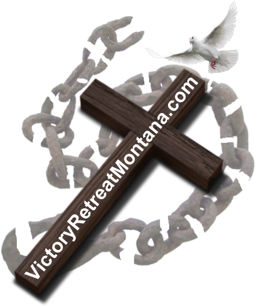 Logo Vrm Updated Aug 21 2018 Cross And Broken Chain - News (700x700), Png Download