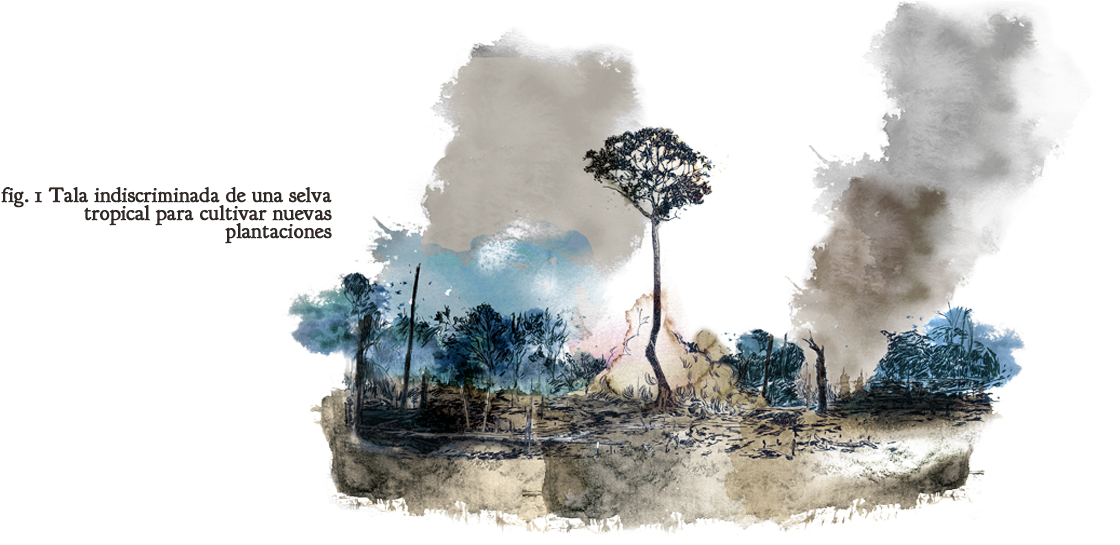 A La Industria Europea E Los Biocombustibles - Forest (1600x870), Png Download