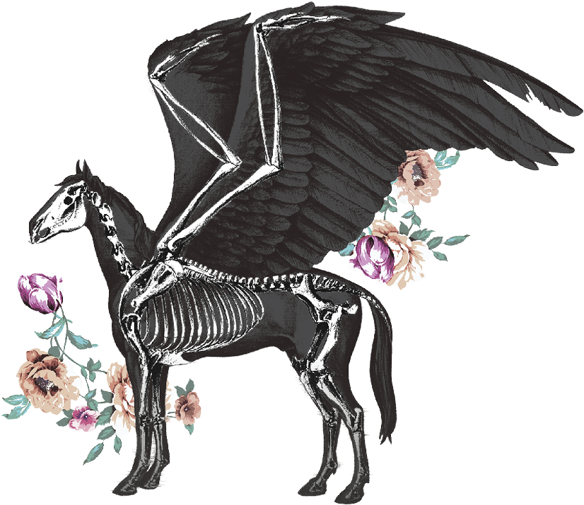Pegasus Pale Ale - Pegasus (858x852), Png Download