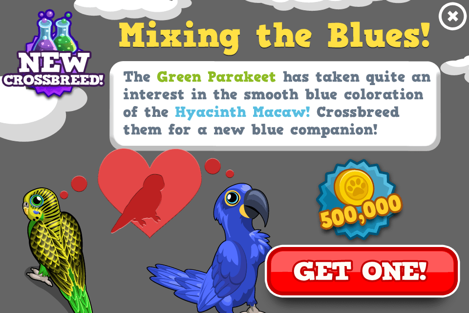 Blue Parakeet Modal - Blue Parakeet (960x640), Png Download