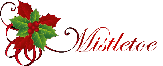 It's Sunday, November 27th, The First Day Of Advent - Beauty Pageant (600x250), Png Download