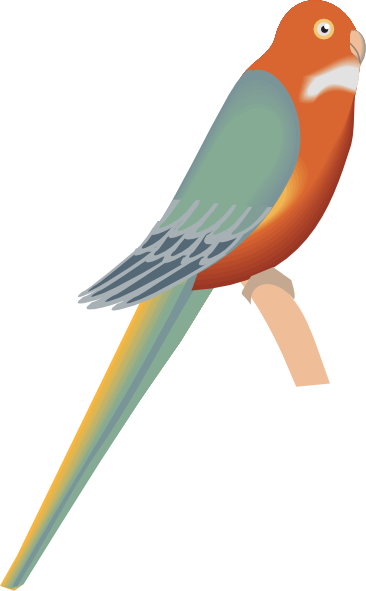Parakeet Svg Clip Arts 366 X 591 Px (366x591), Png Download