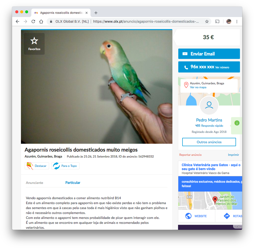 Is A *type* Of Parrot It Just Does Not *talk* Or Do - Budgie (1045x1017), Png Download