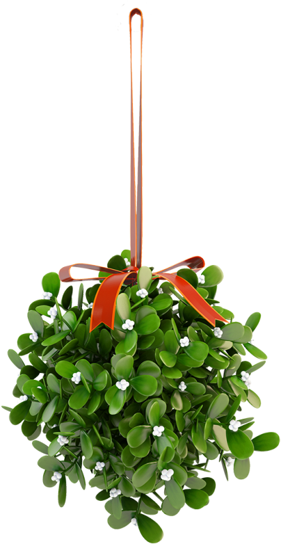 Other Christmas Decorations - Under The Kissing Bough Ebook (454x800), Png Download