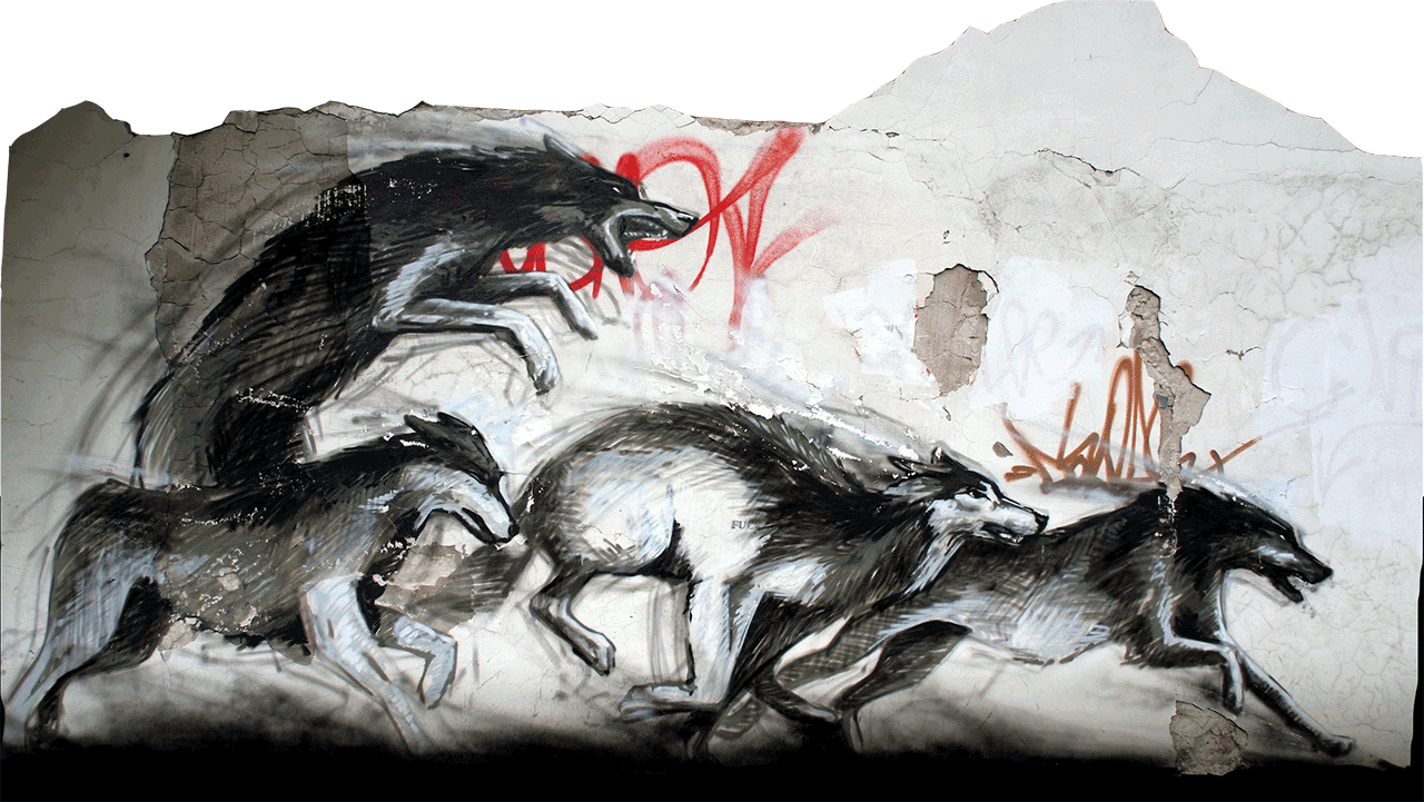 Violence Drawing Paint - Street Art Wolf (1280x721), Png Download