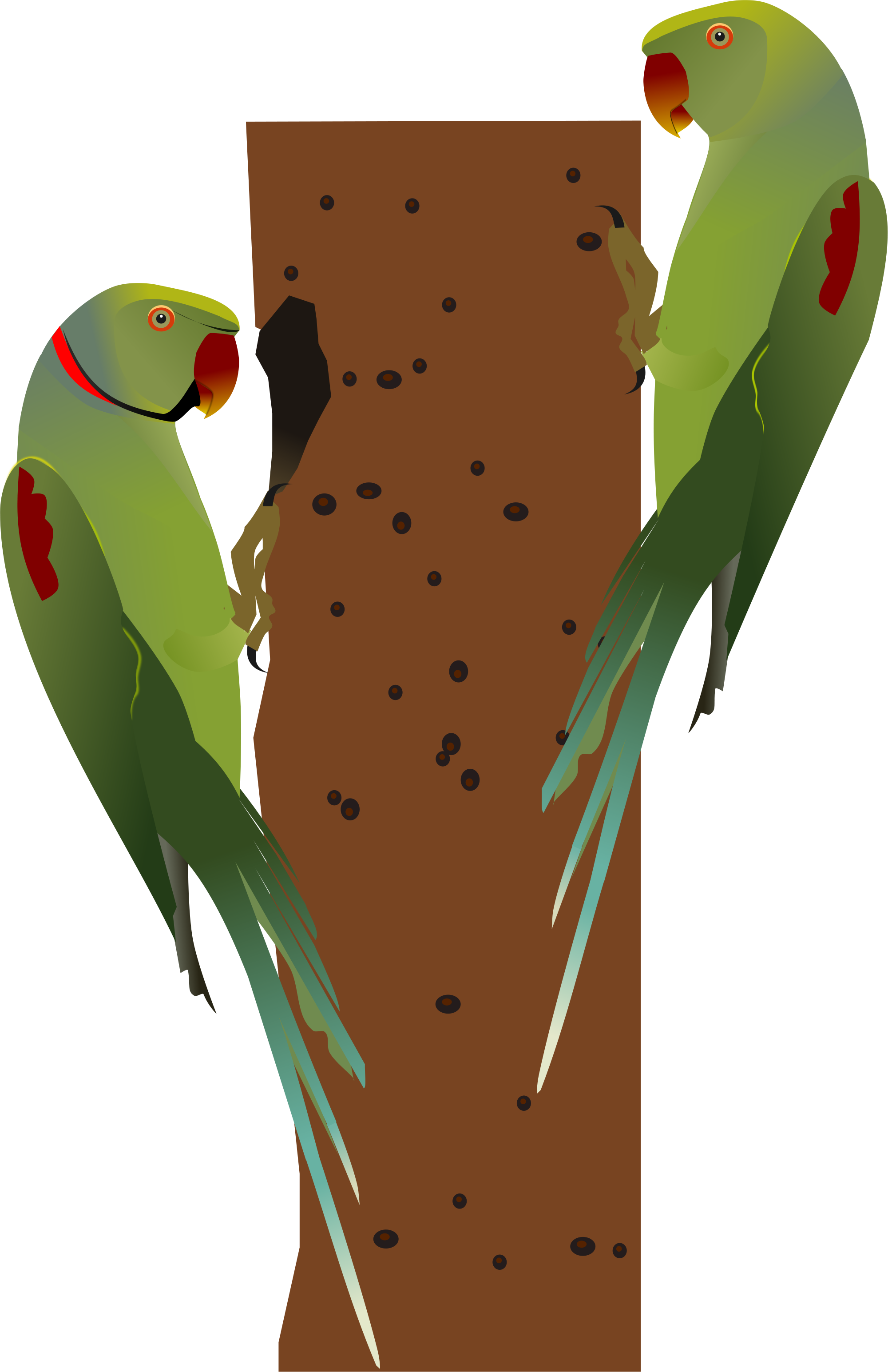 Open - Alexandrine Parrot Png (2000x3089), Png Download
