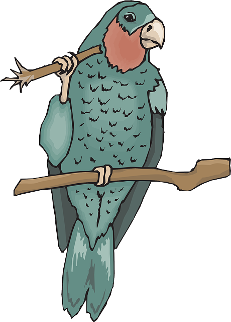 Bird, Branch, Wings, Parrot, Beak, Claws, Amazon, Twig - Amazon Coloring Pages (460x640), Png Download