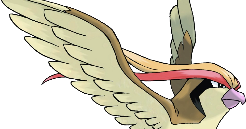 Sfetsos University-developed Research On Professional - Pokemon Pidgeot (966x507), Png Download