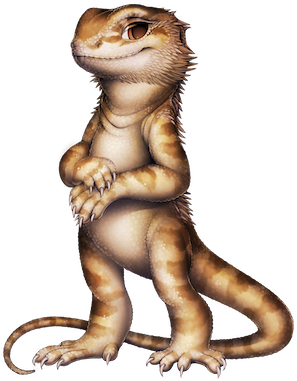 111 20 Bearded Dragon - Bearded Dragon Png (308x400), Png Download