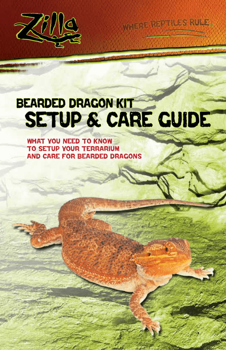 Bearded Dragon Kit Setup & Care Guide Pdf - Zilla Floating Basking Platform Replacement Suction (792x1224), Png Download