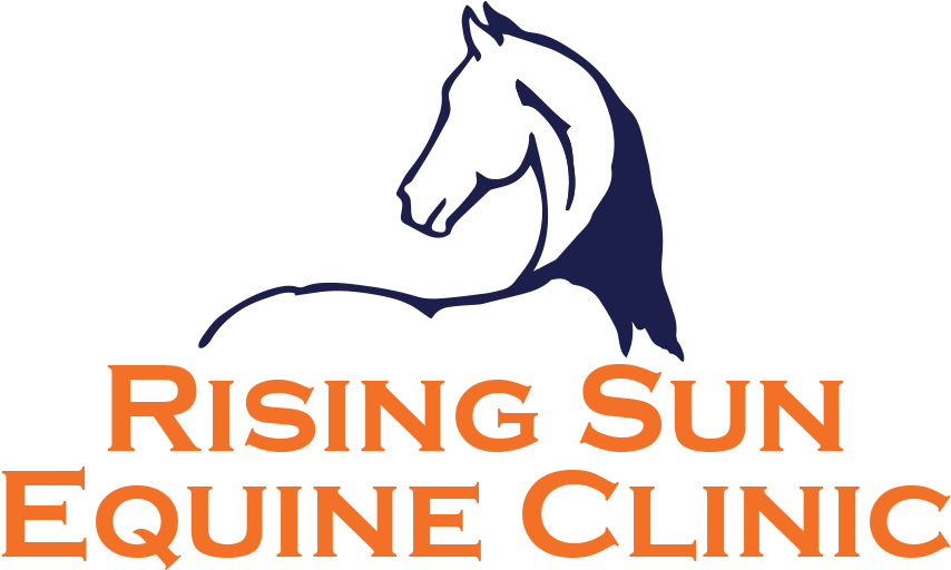 Equine Acupuncture - Intermountain Christian School Logo (900x551), Png Download