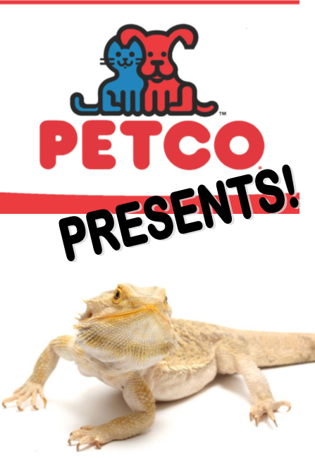 Bearded Dragon (447x651), Png Download