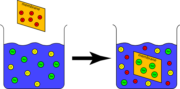 Ion Exchange Capacity Experiment Clipart Png (600x299), Png Download