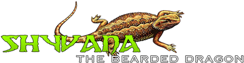 My Bearded Dragon Shyvana - Bearded Dragon Animation (500x400), Png Download