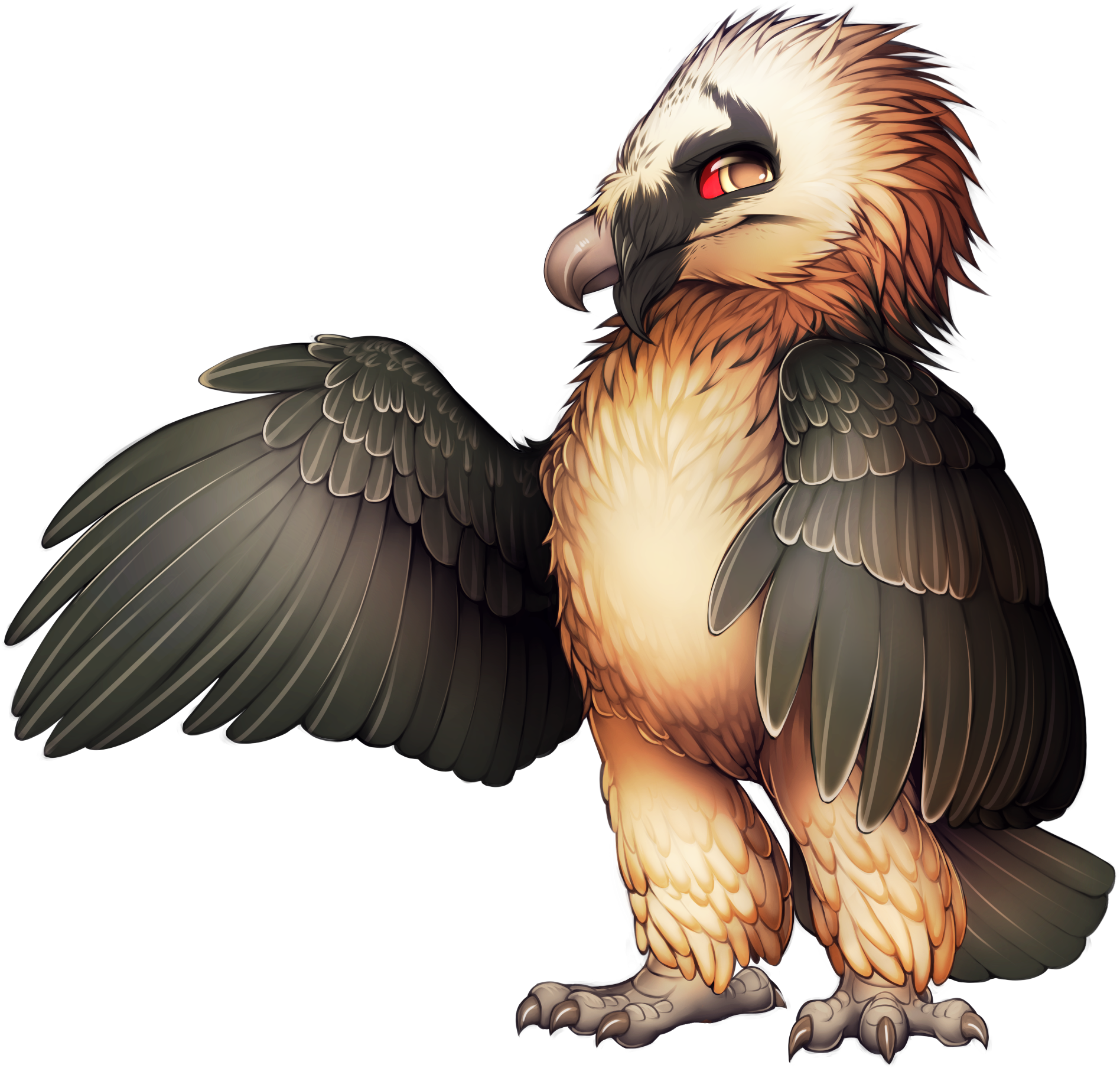 Bird Of Prey Bearded Vulture Egyptian Vulture - Bearded Vulture Png (2059x1852), Png Download