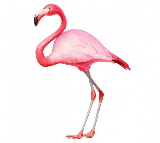 Flamingo Template At Getdrawings Graphic Black And - Flamingo Png (650x584), Png Download
