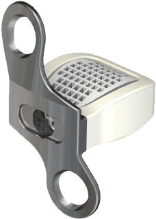 Contact Us - Garlic Press (600x415), Png Download