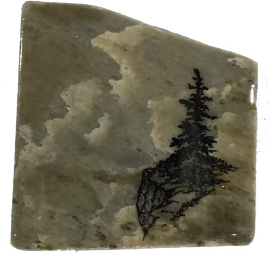 Made In Canada Gifts - Tree (560x560), Png Download