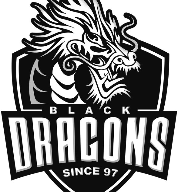 Black Dragons E-sports Revela Equipe De Overwatch Reformulada - Black Dragons E Sports (1200x630), Png Download