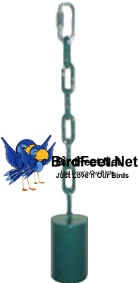 Cage And Queen, Indestructable Steel Bell, Large Birds - Parrot (400x400), Png Download