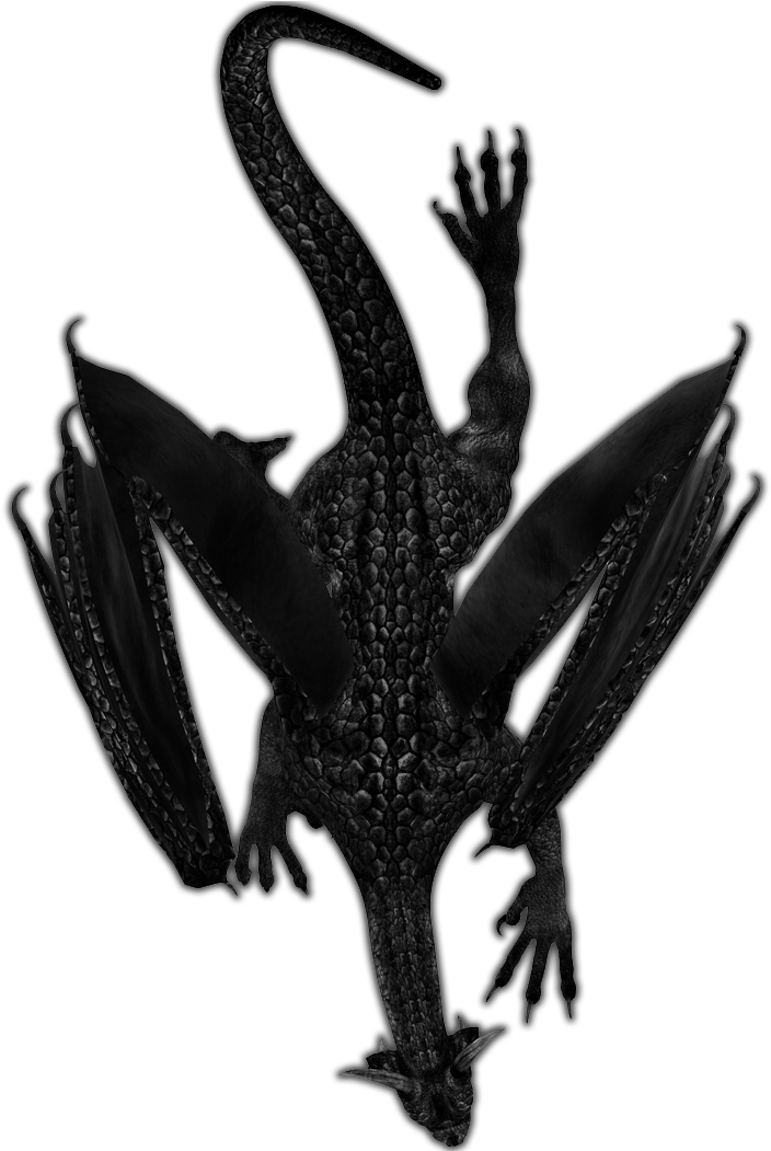 24 Mar 2009 - Dundjinni Dragon (891x1050), Png Download