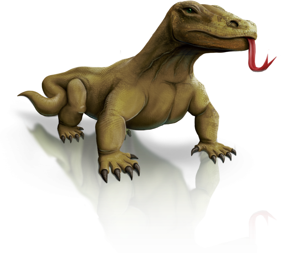 Komodo Dragon - Komodo Dragon Clipart Png (1014x1024), Png Download