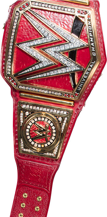 Wwe Universal Championship - Wwe Universal Champion Png (398x708), Png Download
