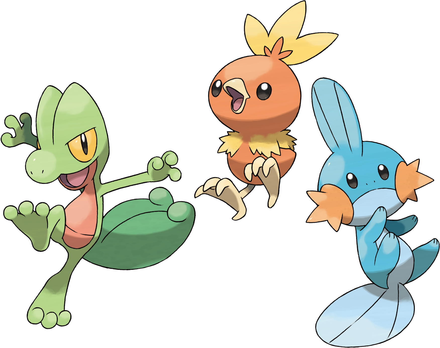 Treecko Torchic Mudkip Group Layersremoved - Torchic Treeko And Mudkip (2048x1486), Png Download